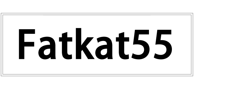 fatkat55.blogspot.com
