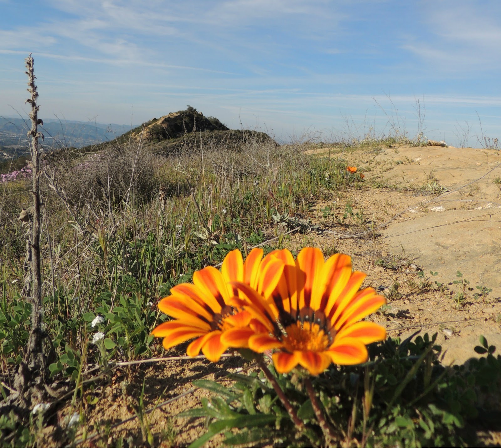 1000 Hikes in 1000 Days Day 850 Calabasas Cold Creek Trail Secret
