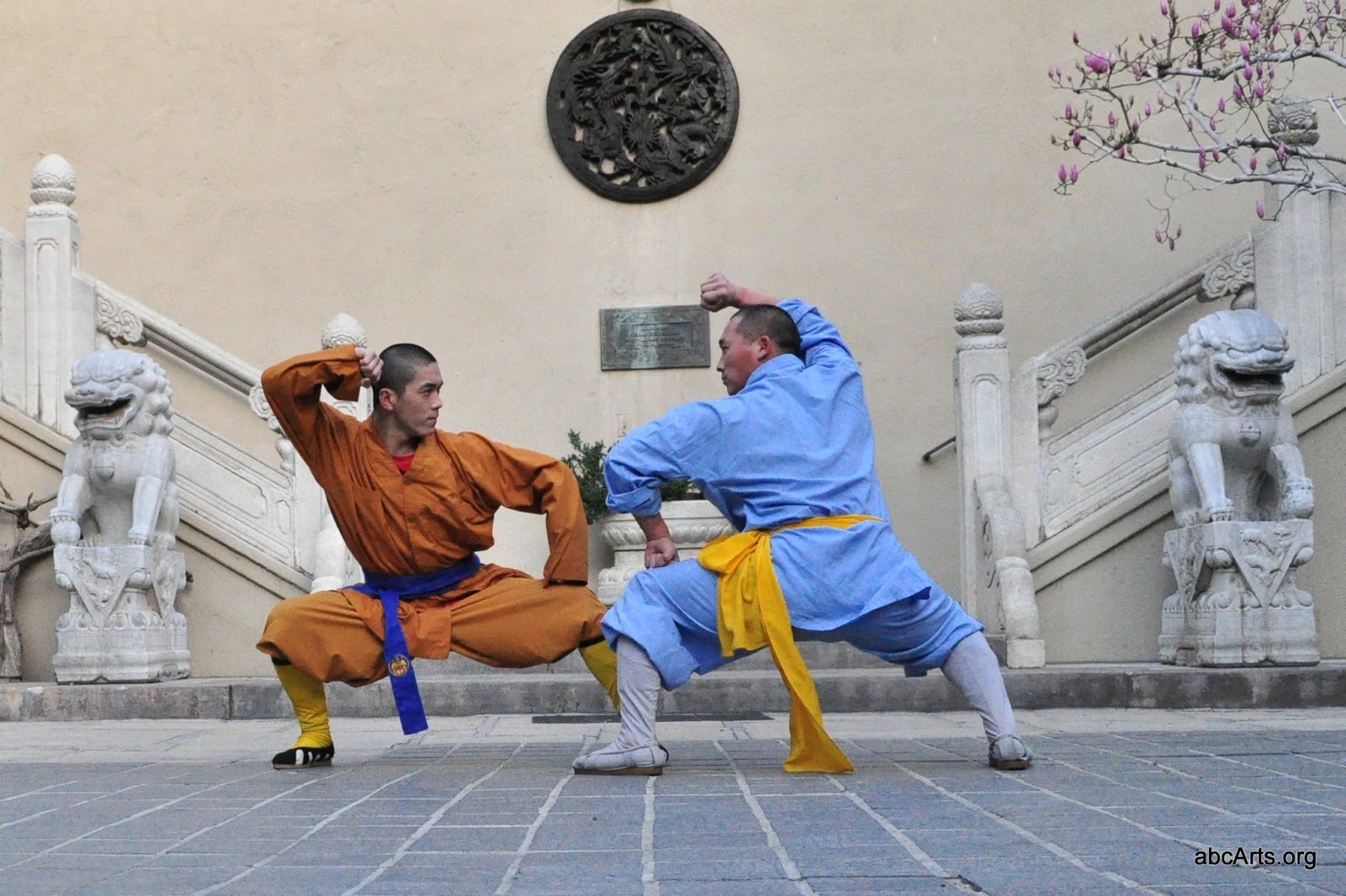 World Wide Martial Arts Kung Fu