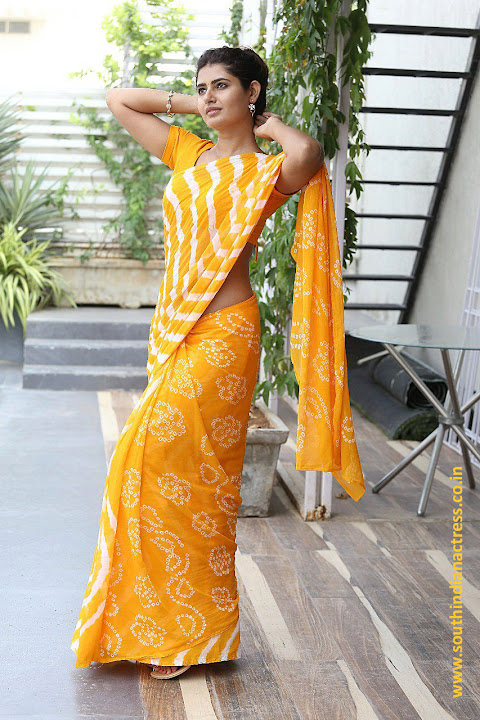 Ashima Narwal in Yellow Saree
