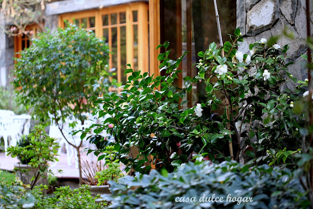 casa dulce hogar: Por el jardín y la casa a mediados de invierno