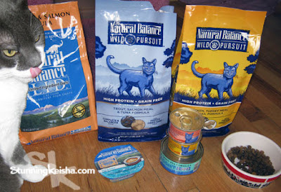 Cats with sensitive tummies can eat Natural Balance grain-free cat food and I’ll tell you why