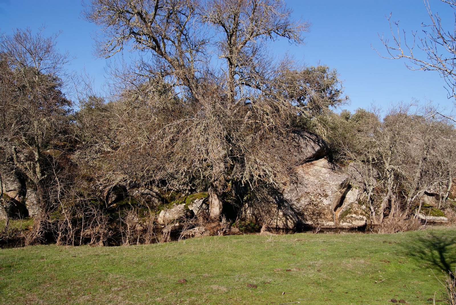 DÉJATE LLEVAR...........por la nturalez. Senderismo en el Barrio de