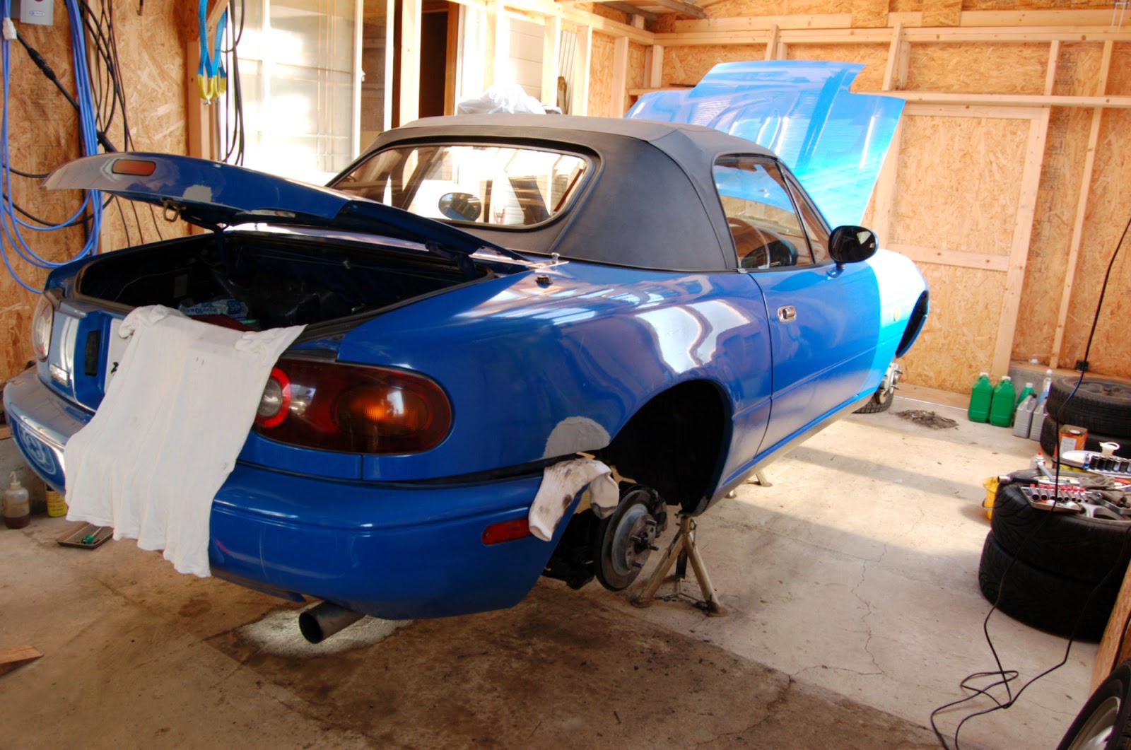 ローズマリーが血圧を上昇させるというのは本当ですか？