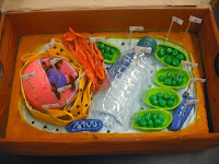 7th Grade Animal Cell Diagram 7th Grade Animal Cell Diagram