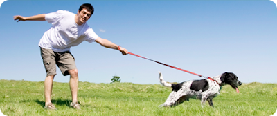 Dog trainers Indianapolis