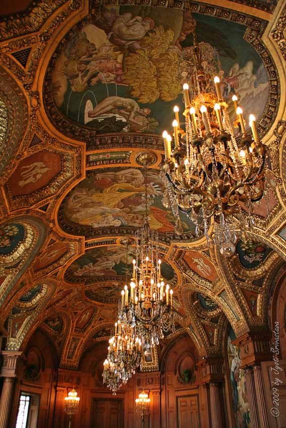 Chicago - Architecture & Cityscape: The Grand Reception Hall : Ceiling ...
