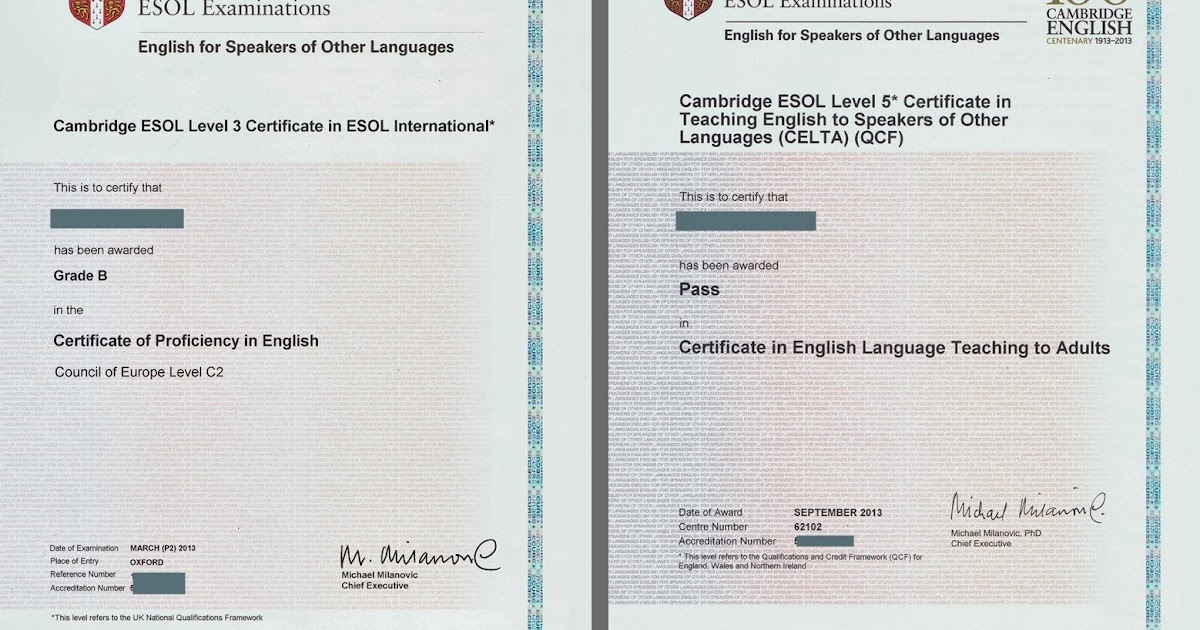 celta focus learner Read the beginners guide on what to expect before and during your celta a step-by-step guide for beginners aims of the celta syllabus topic 1 – learners. celta focus learner Read the beginners guide on what to expect before and during your celta a step-by-step guide for beginners aims of the celta syllabus topic 1 – learners.