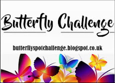 Butterfly Challenge