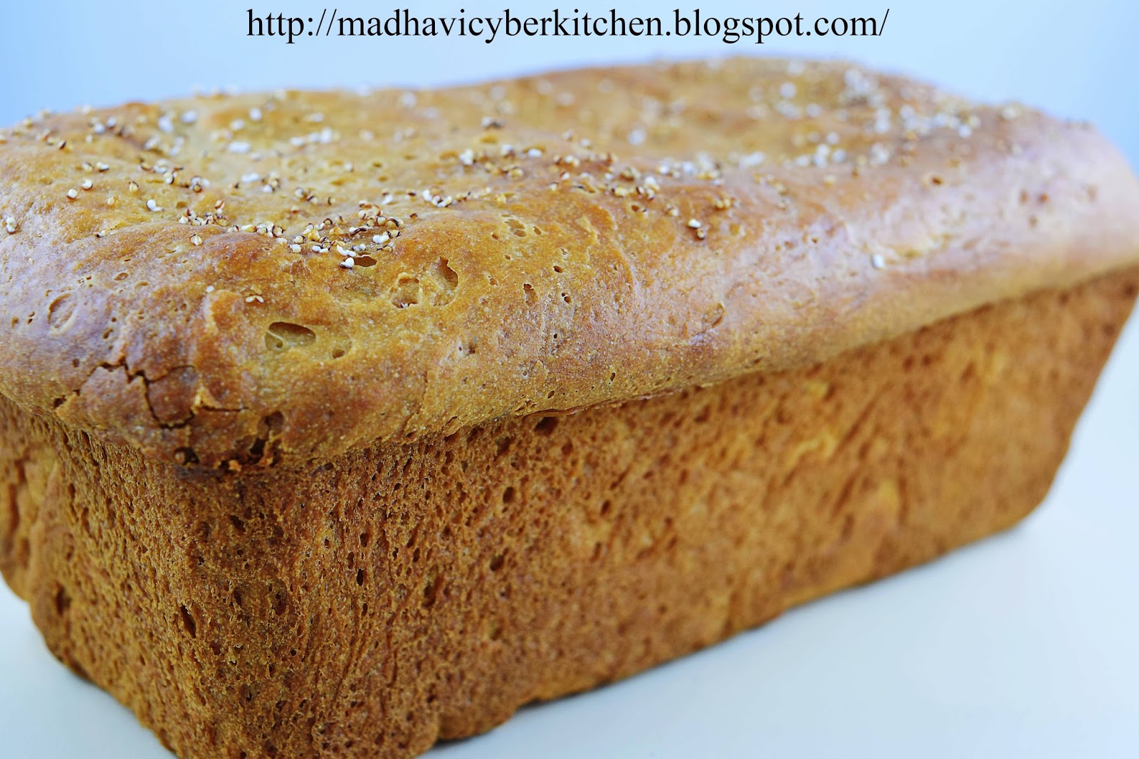 Madhavi's Cyber Kitchen Amaranth Flour Bread