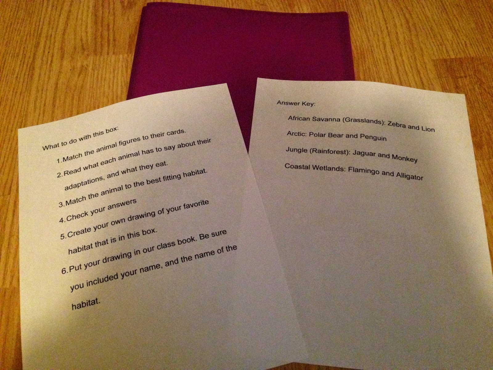 Let's Learn Science: Animal Habitat Investigation Box