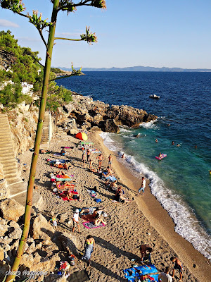Borak peljesac