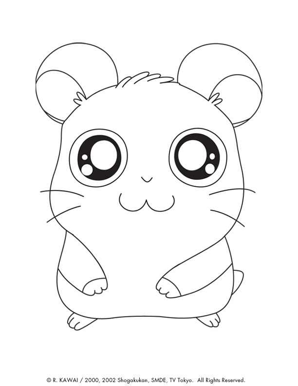 Featured image of post Desenho Hamster Para Colorir Desenhos de hamster para colorir para gr tis e imprimir