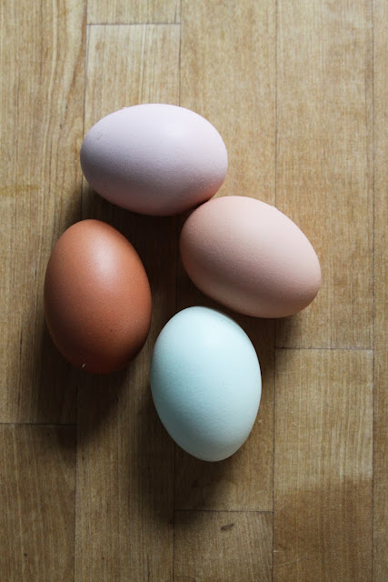 farm fresh eggs, eggs, beauty, joy, Anne Butera, My Giant Strawberry