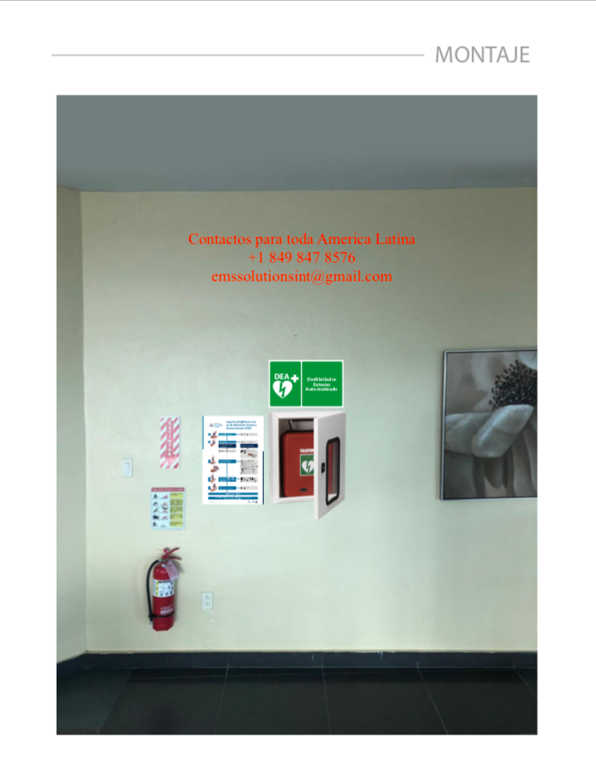 EMS SOLUTIONS INTERNATIONAL by DrRamonReyesMD marca registrada