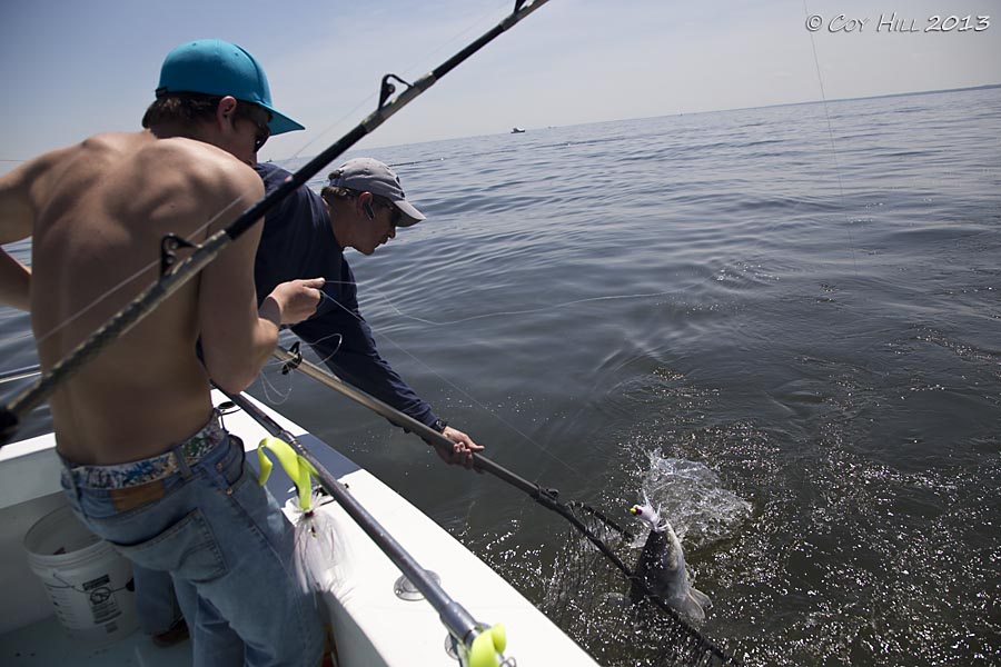 Country Captures Chesapeake Charter