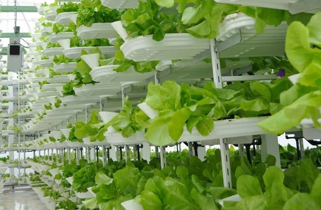 Gambar Pertanian Vertikal