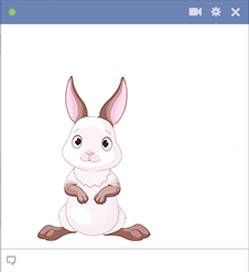 Adorable Rabbit for Facebook