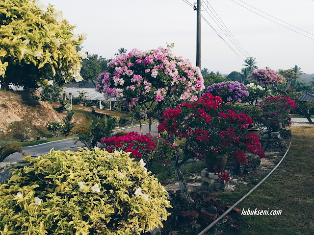 Indahnya lanskap Mama, lubuk mencari ilham terapi minda. Indahnya lanskap Mama, lubuk mencari ilham terapi minda.