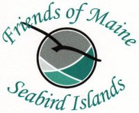 Friends of Maine Seabird Islands