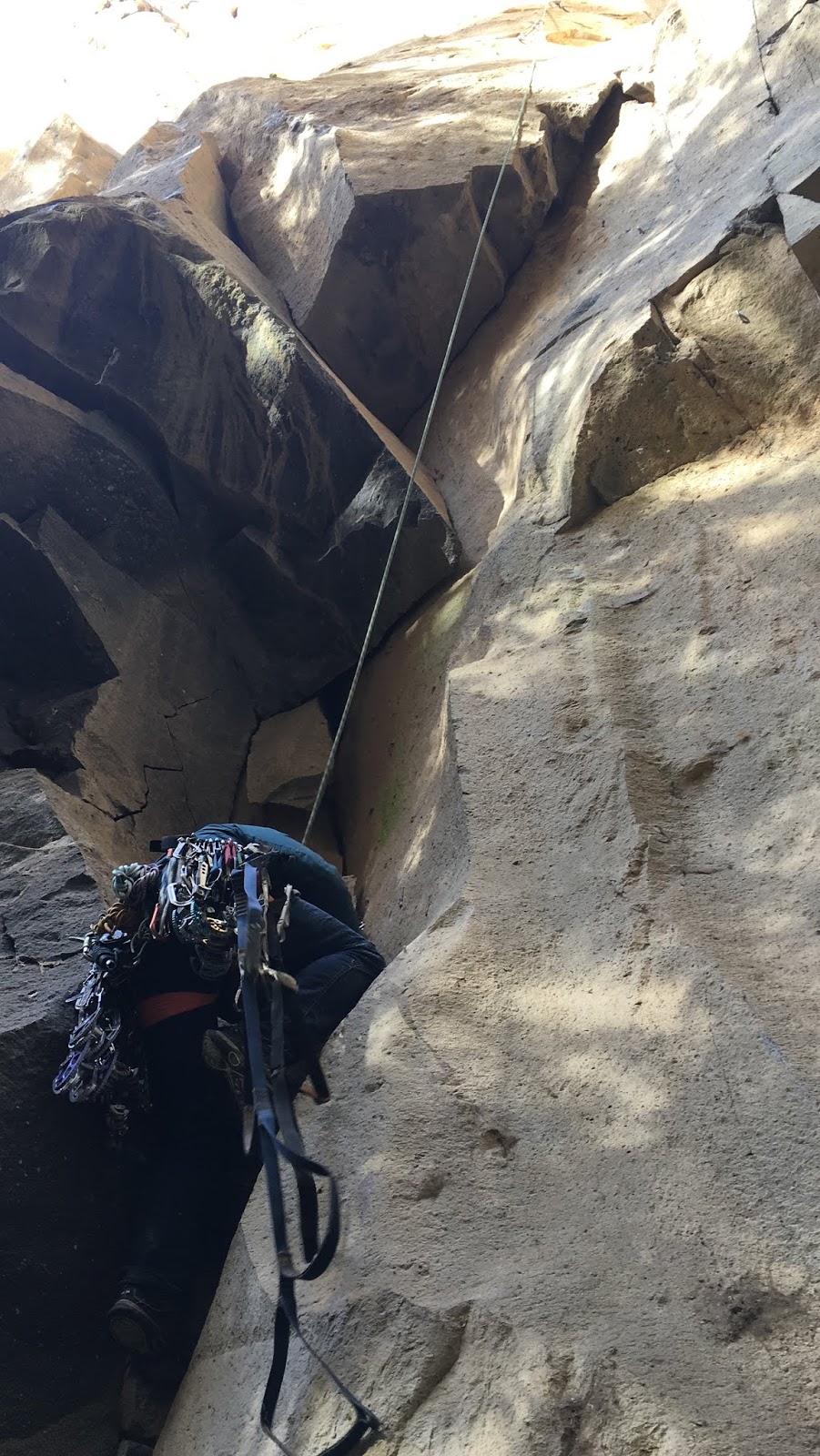 The Social Traveler Nationalpark Eifel Ranger Walking Tour
