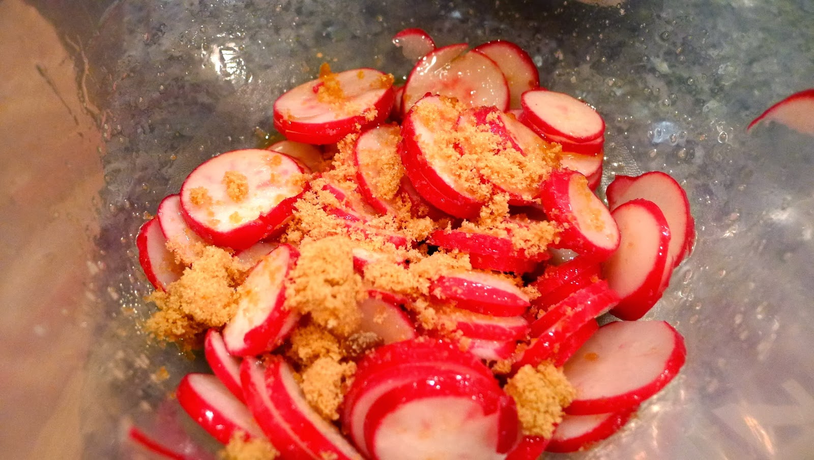 newFOOD tuesdayz Pickled Fennel and Onion Salad with Roasted Radish