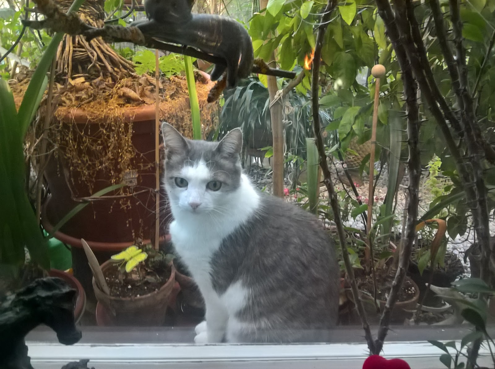 Hauptschulblues Februar 2018