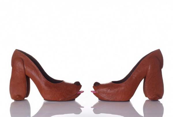 Why Do Dogs Not Wear Shoes Why Do Dogs Not Wear Shoes