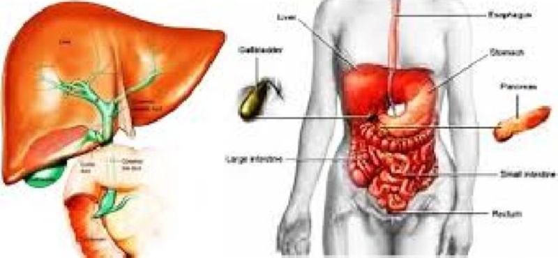 Bahaya Virus Hepatitis Lebih Mematikan Daripada AIDS dan TB Bahaya Virus Hepatitis Lebih Mematikan Daripada AIDS dan TB
