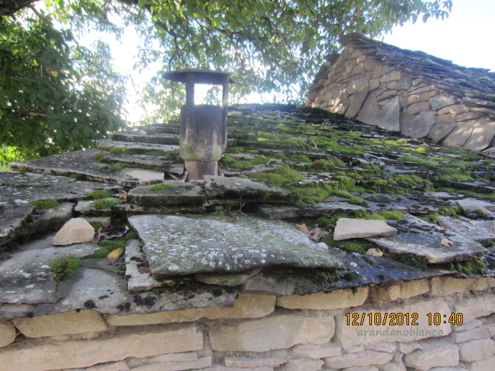 encinarosa-elarbolmiamigo: Iglesia de San Pedro de Lárrede (Huesca)