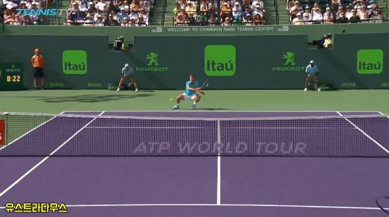 페더러 드롭샷 레전드.gif | 인스티즈