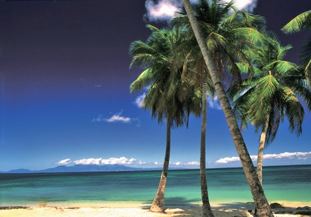 Belle plage de Guadeloupe