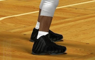 NBA 2K13 Nike Foamposite One Stealth Shoes Patch