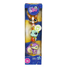 Littlest Pet Shop Tubes Chihuahua (#1568) Pet