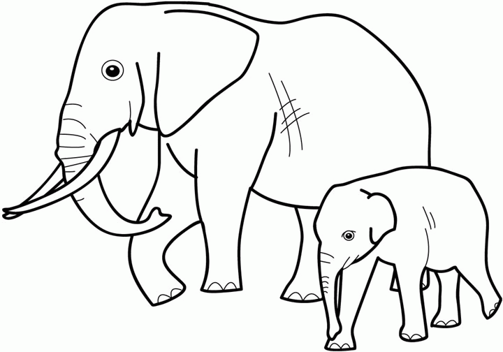 a coloring pages of animals - photo #34