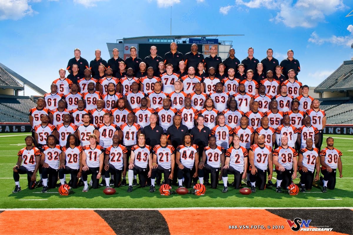 Cincinnati Bengals 2015