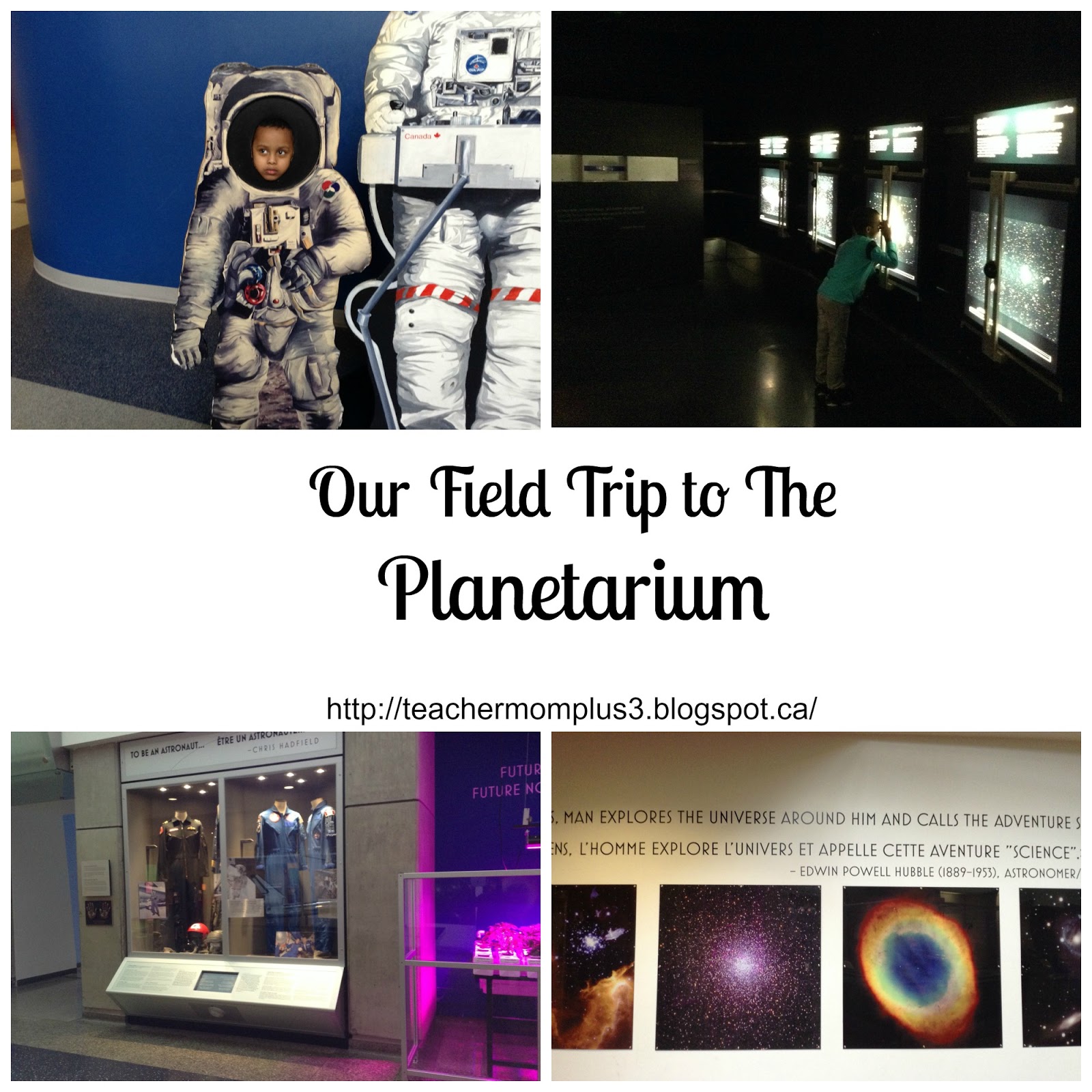 TeacherMomPlus3 Field Trip