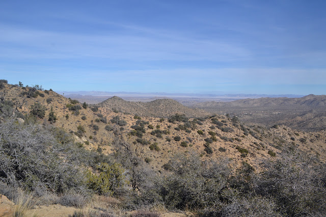 Yucca Valley