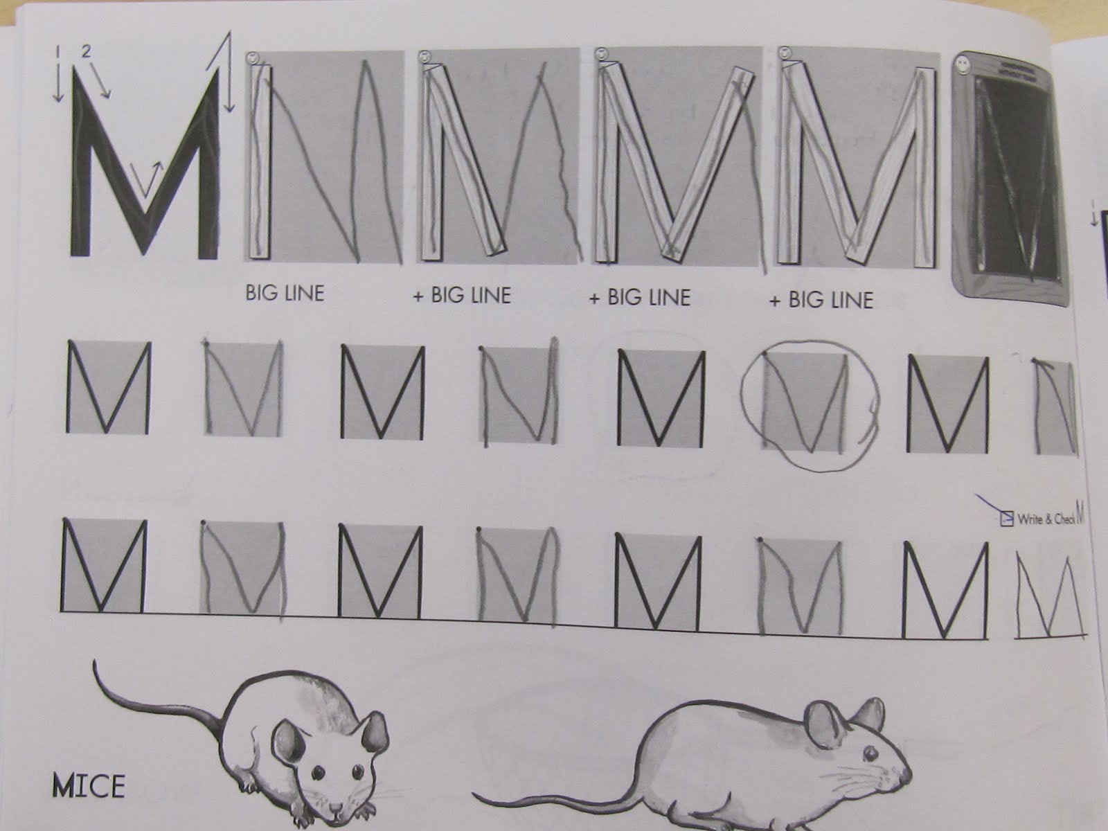 KC Kindergarten Times: Word Work