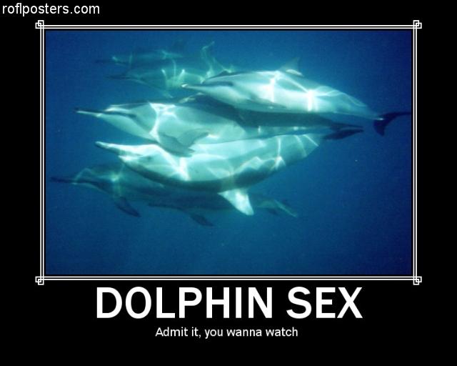 Dolphins Have Sex For Fun 73