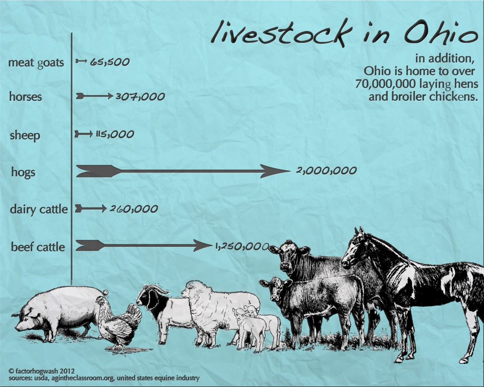 Fact or Hogwash? Exploring the Truth About Ohio's Farms Ohio's Home