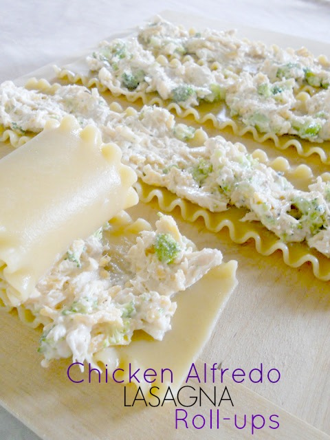 Ally S Sweet Savory Eats Chicken Alfredo Lasagna Roll Ups
