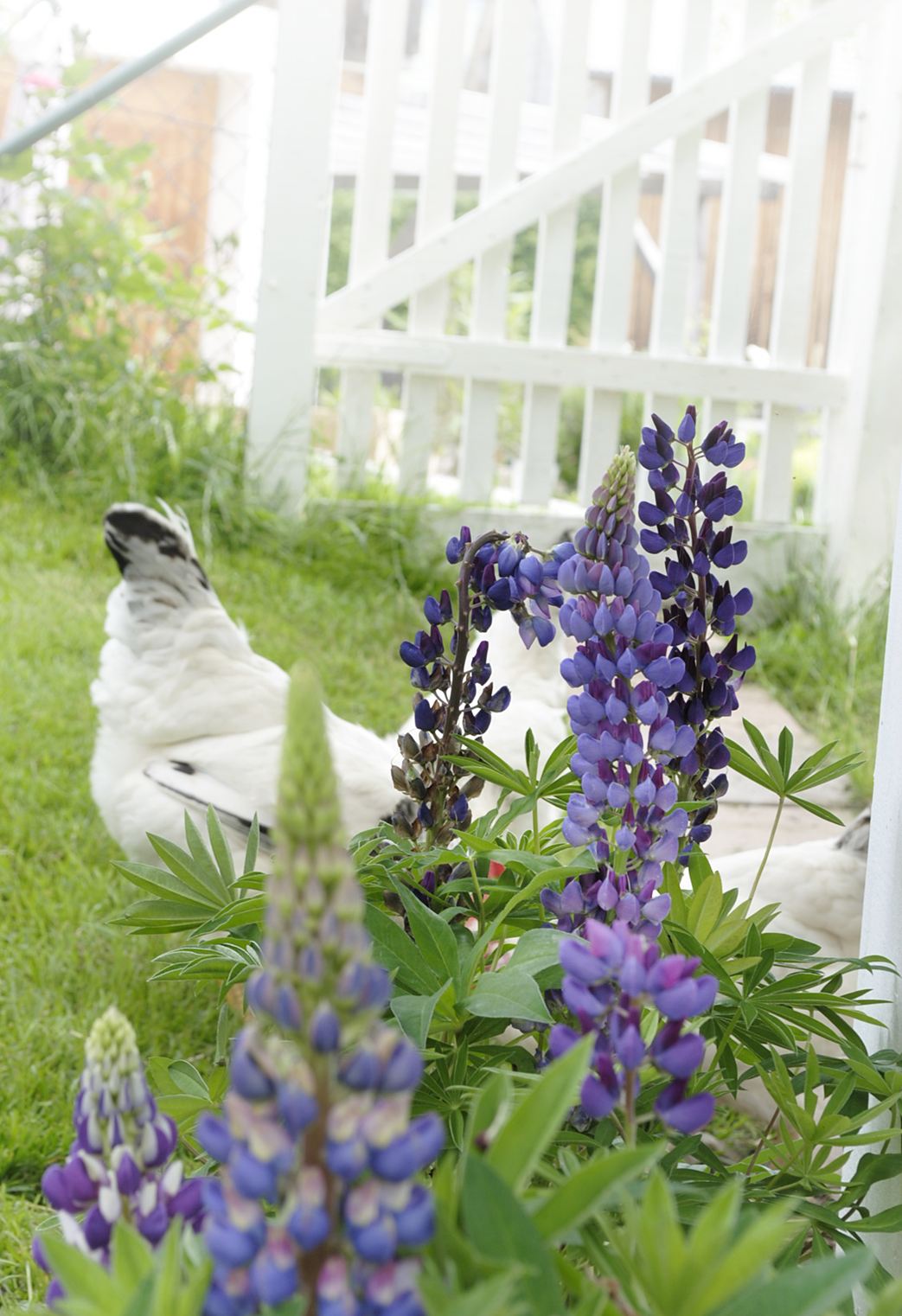 Deko Und Diy Blog Kreative Deko Ideen Fur Ein Schones Zuhause