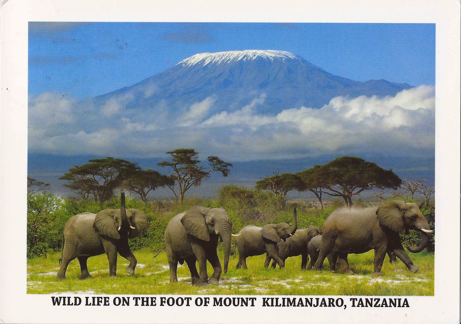 A Journey of Postcards: Mt Kilimanjaro, Tanzania (zoom level 1)