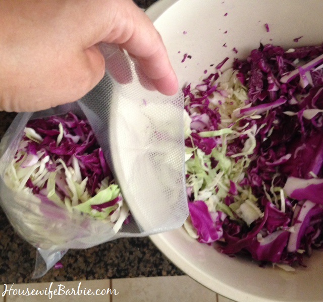 An American Housewife Shredding and Vacuum Sealing Fresh Cabbage with
