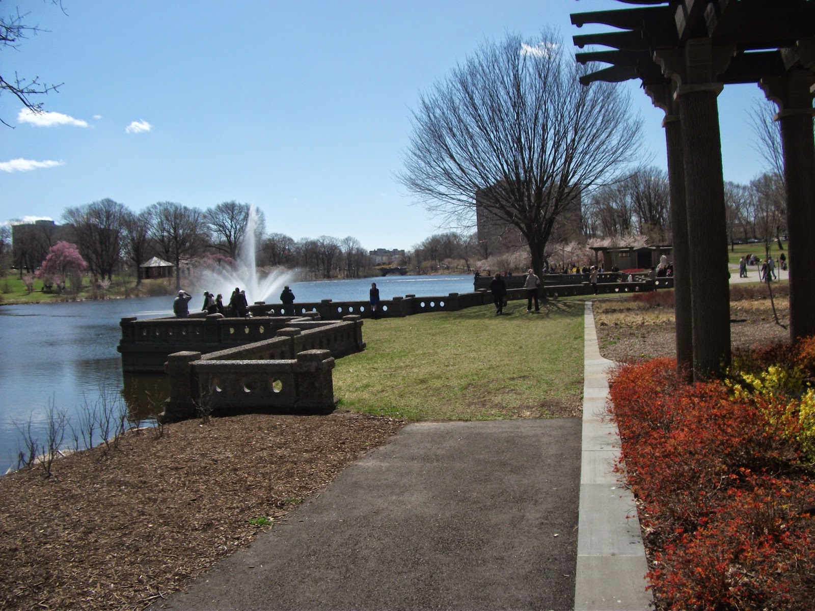 CHERRY BLOSSOMS AT BRANCH BROOK PARK Touristang Pobre