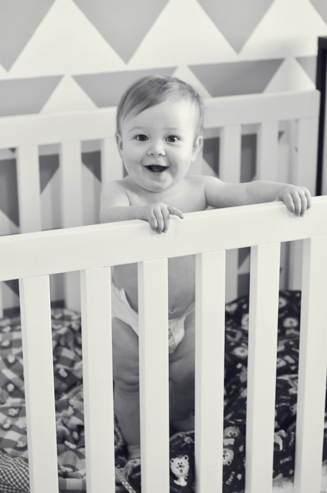 Diesel in Bloom My cute baby & his crib