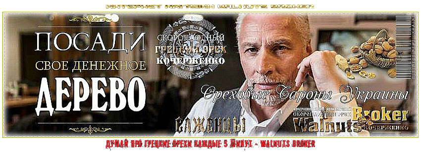 Орех идеал схема посадки фото 658