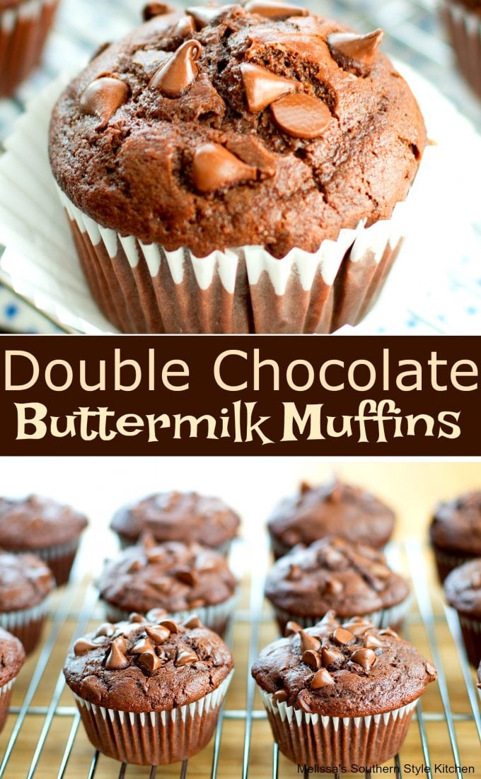 Double Chocolate Buttermilk Muffins Tasty Kitchen Recipes