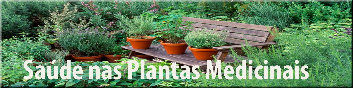 Saúde Nas Plantas Medicinais